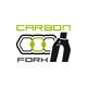 Carbon Fork
